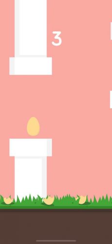World Record Egg 2