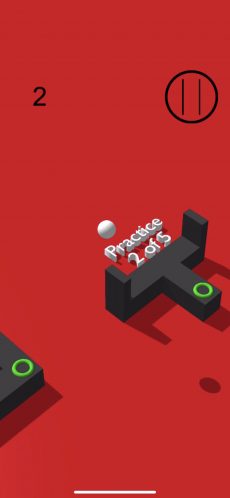 ss1